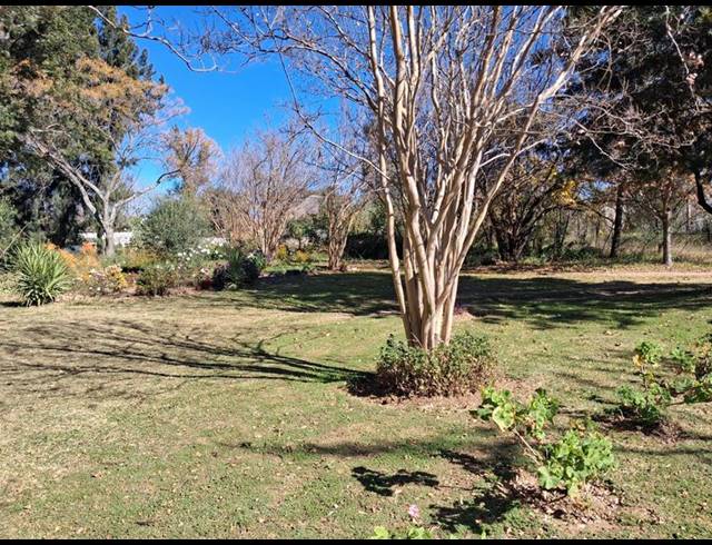 FARM FOR SALE IN LANSERIA